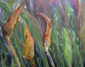 Detail - Pickerel Weed in Decay